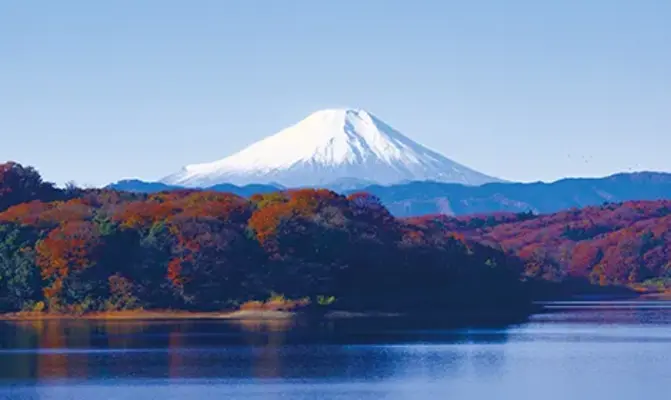 お葬式のむすびす(西葛西セレモニーホール)で葬儀を行なった写真