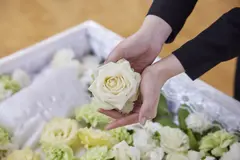 火葬式プラン