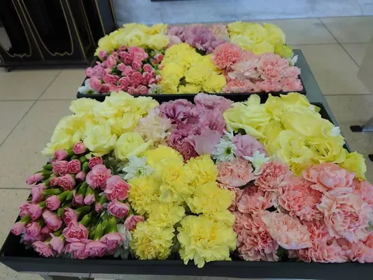 ダイイチ葬祭サービス