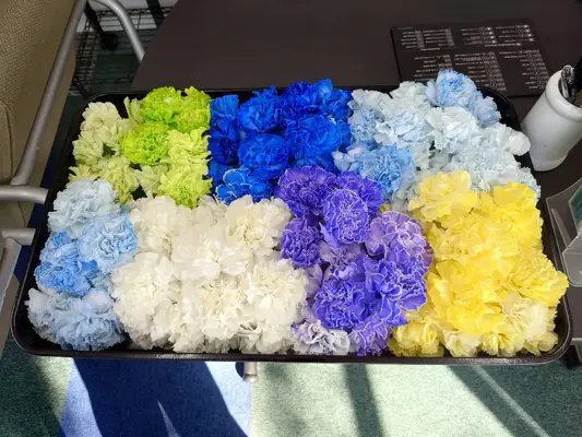 ダイイチ葬祭サービス