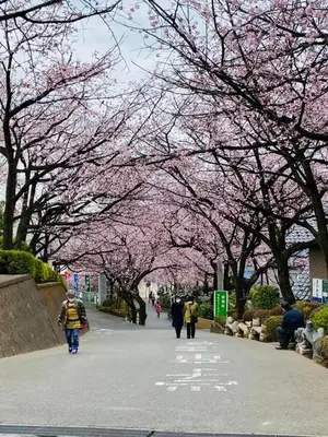 密藏院で葬儀を行なった写真