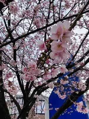 密藏院で葬儀を行なった写真