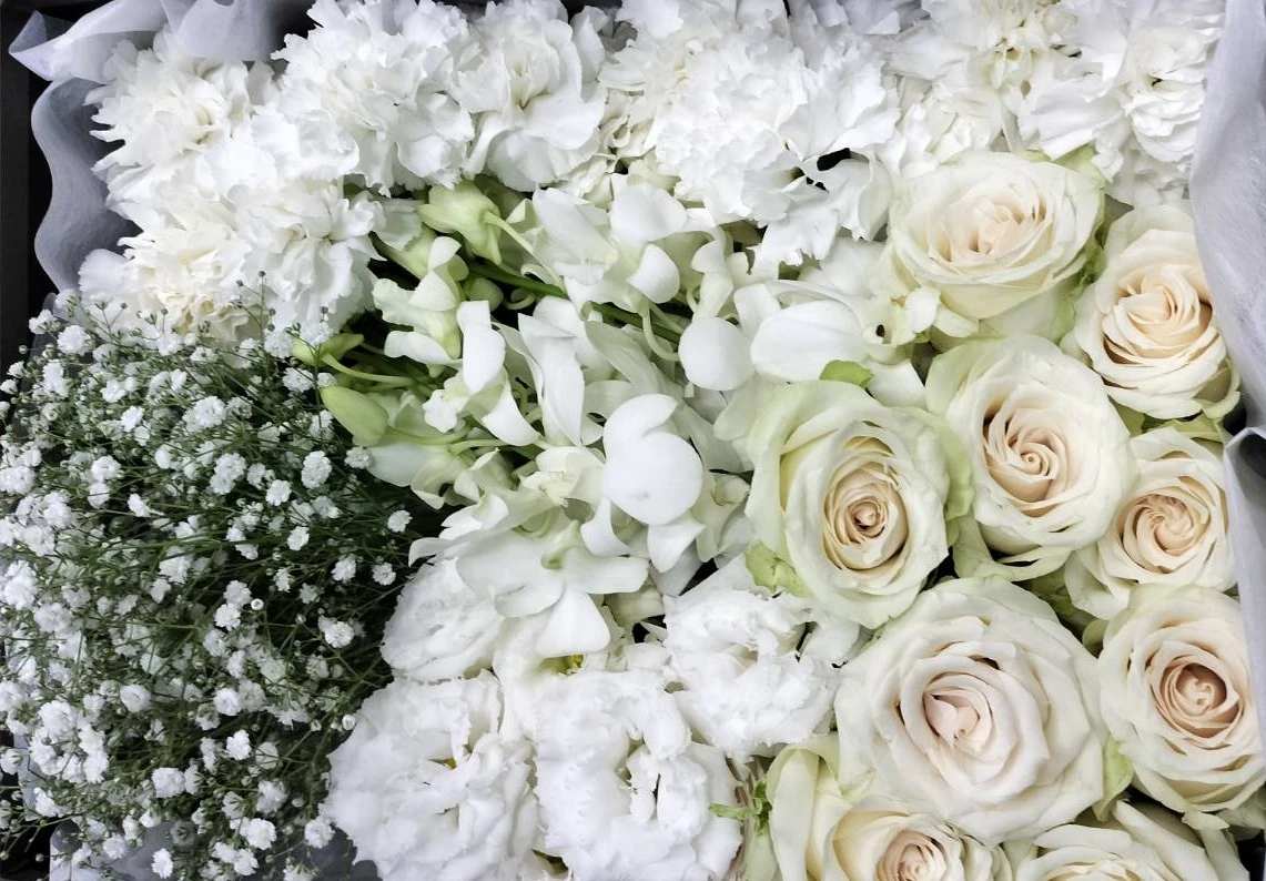 新宿区/はじめてのお葬式