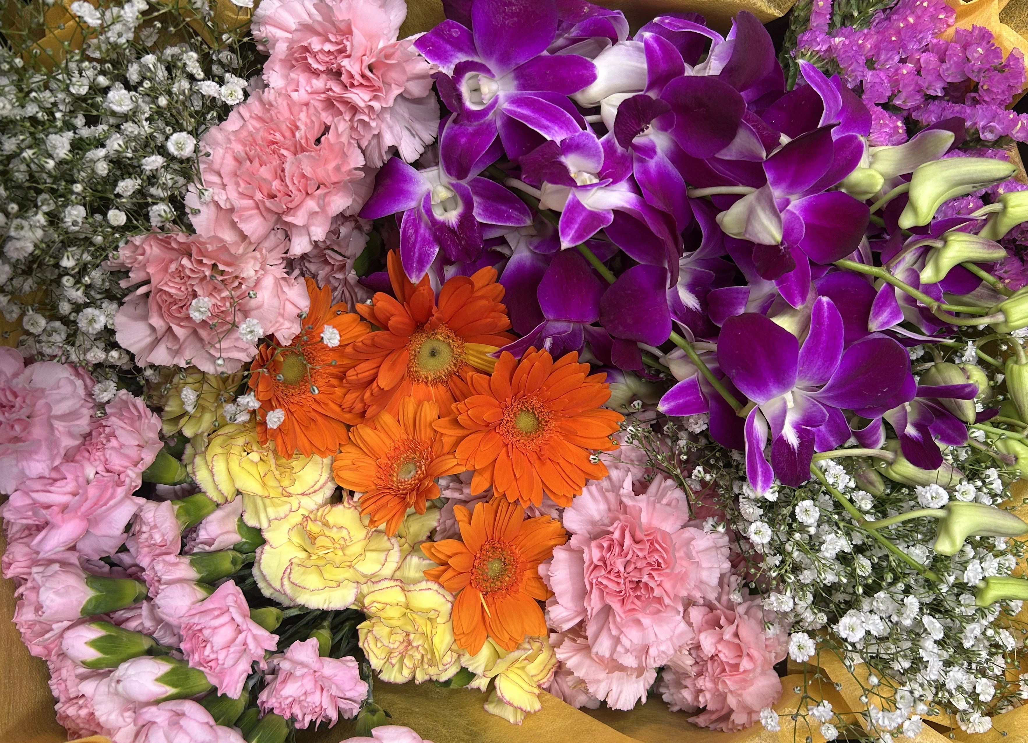 新宿区/はじめてのお葬式