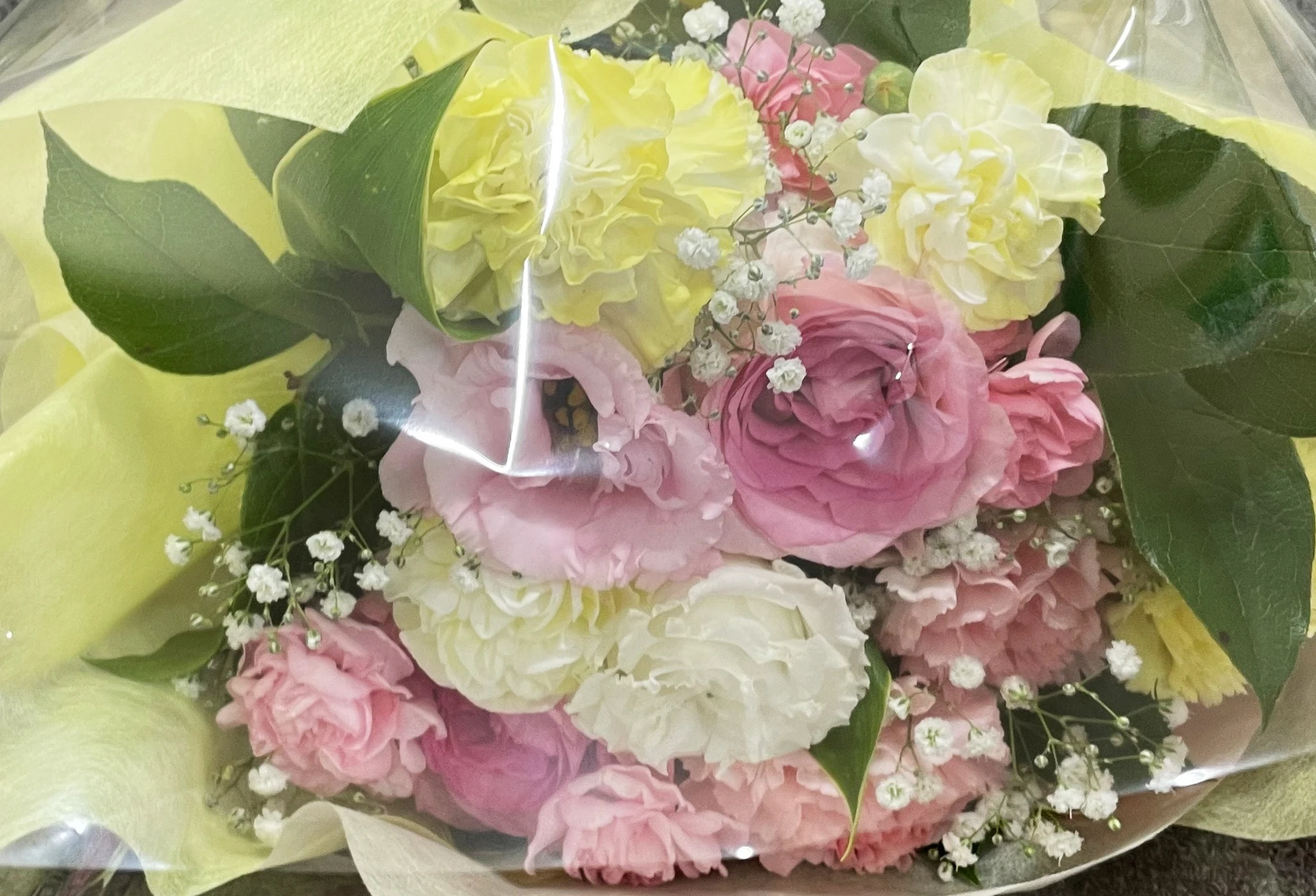 新宿区/はじめてのお葬式