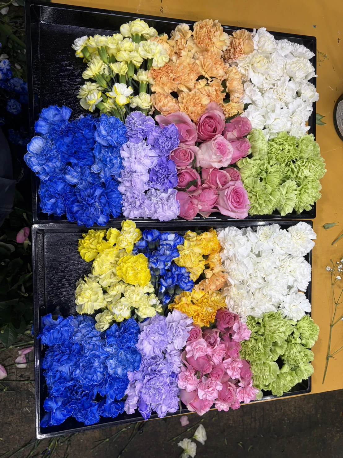 新宿区/はじめてのお葬式