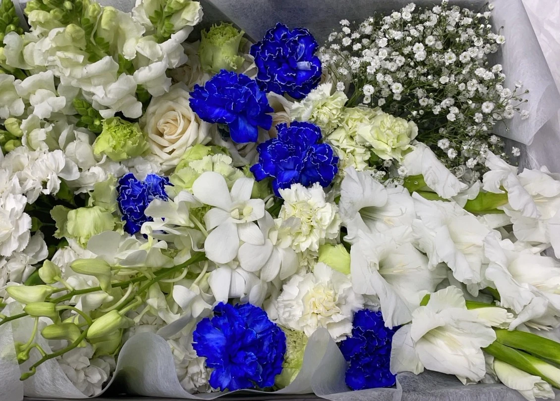 新宿区/はじめてのお葬式