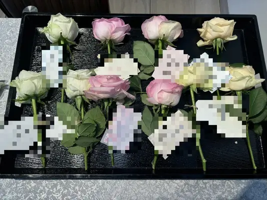 新宿区/はじめてのお葬式で葬儀を行なった写真