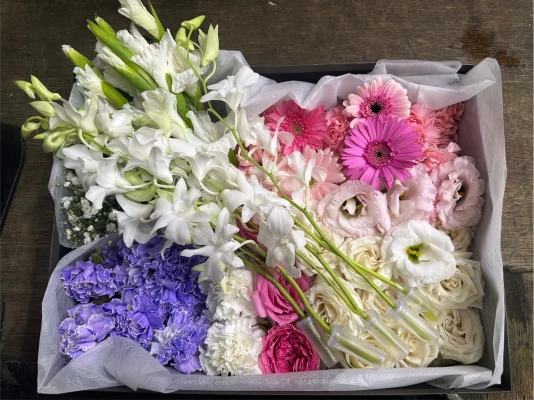 新宿区/はじめてのお葬式