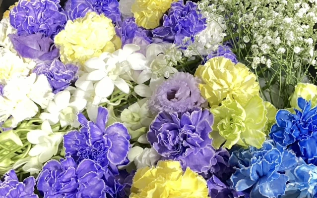 新宿区/はじめてのお葬式