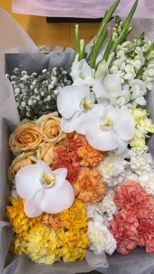 新宿区/はじめてのお葬式