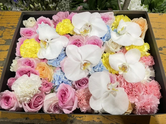 新宿区/はじめてのお葬式