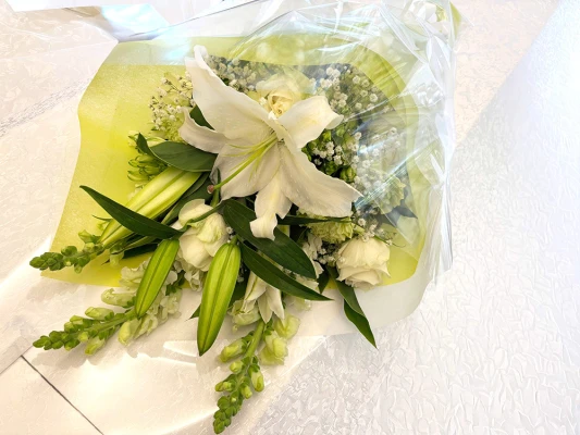 新宿区/はじめてのお葬式