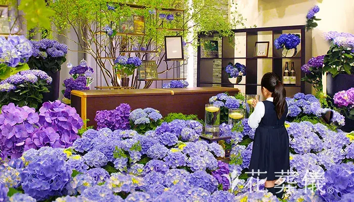 花葬儀で葬儀を行なった写真