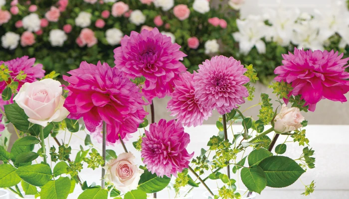 帝都典礼で葬儀を行なった写真