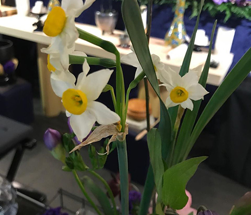 極上のお香で供養を