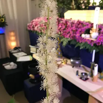 花心で葬儀を行なった写真