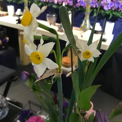 花心で葬儀を行なった写真