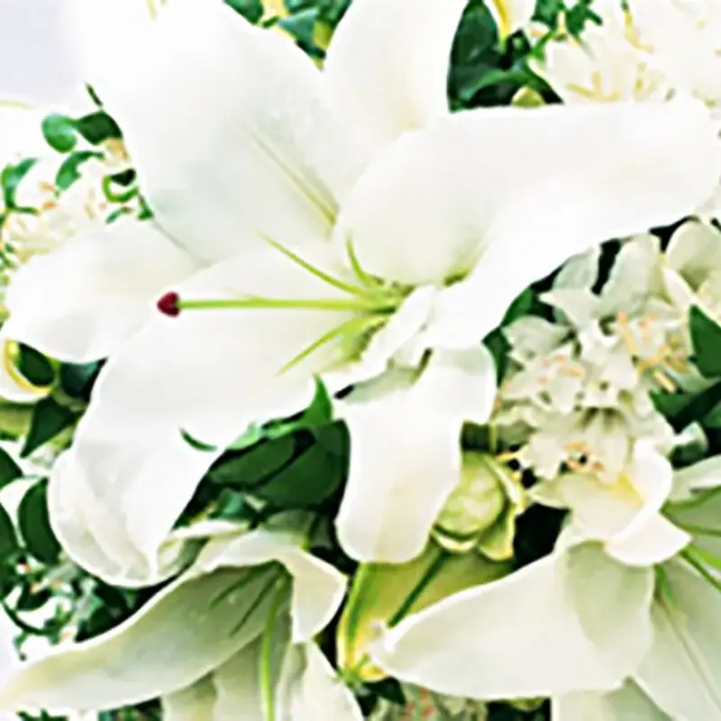 ご葬儀前後の手続きのお手伝い