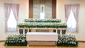 キキョウプラン