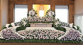 アジサイプラン