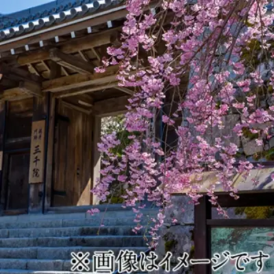 宝幢寺東雲閣で葬儀を行なった写真