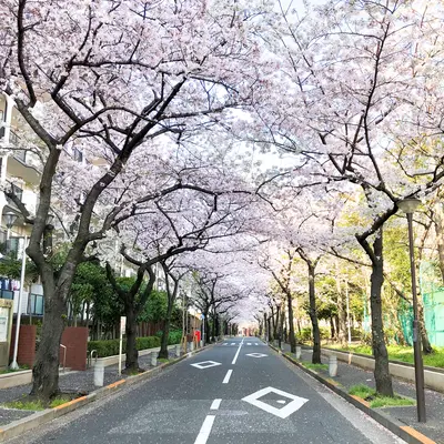 愛光式典で葬儀を行なった写真