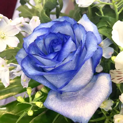 愛光式典で葬儀を行なった写真