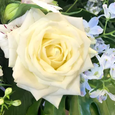 愛光式典で葬儀を行なった写真