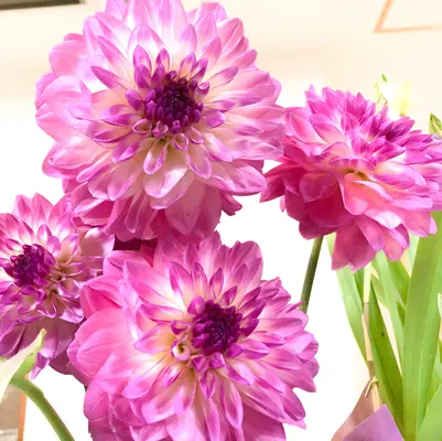 愛光式典で葬儀を行なった写真