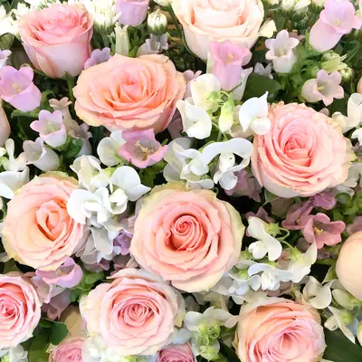 愛光式典で葬儀を行なった写真