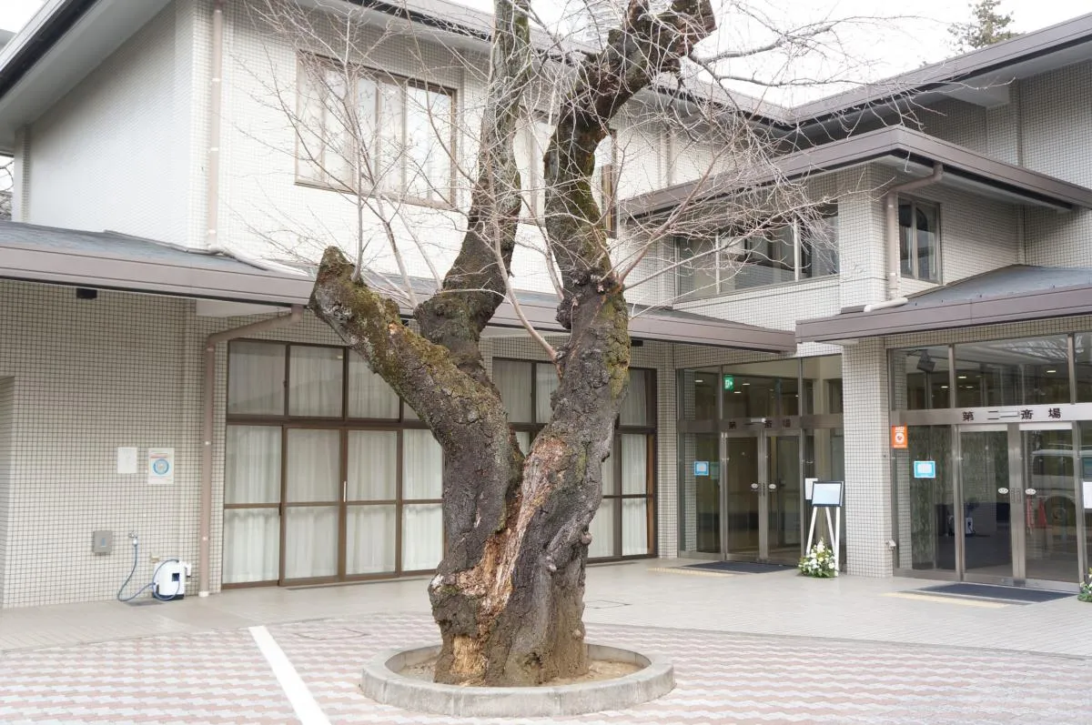 南池袋斎場にて10名の一日葬