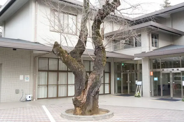 矢邉葬儀社で葬儀を行なった写真