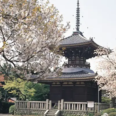 護国寺 桂昌殿で葬儀を行なった写真