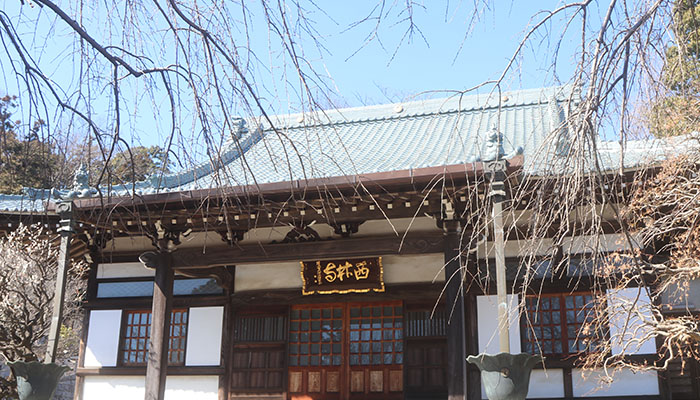 西林寺