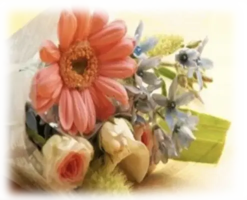 株式会社西進（都島北通店）で葬儀を行なった写真