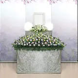 シンプルプラン