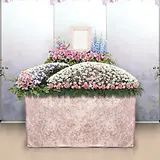 ファミリープラン