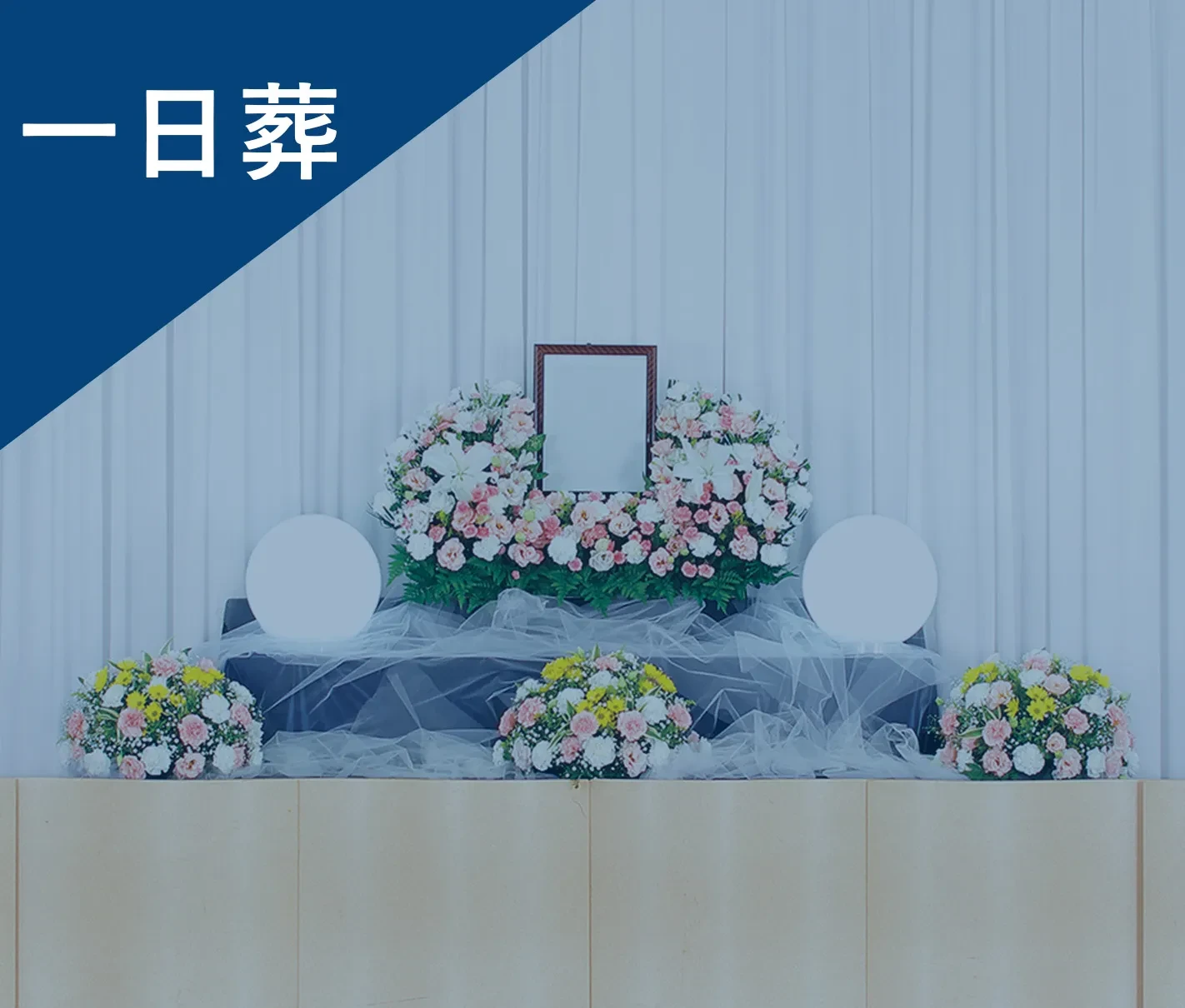 一日葬プラン