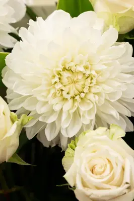 小金井祭典株式会社で葬儀を行なった写真