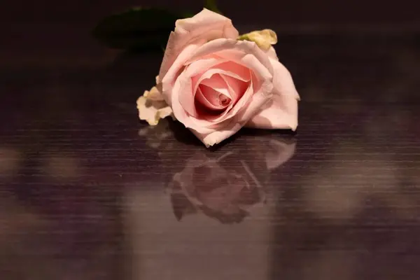 小金井祭典株式会社で葬儀を行なった写真