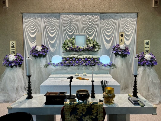 セレモハイネス