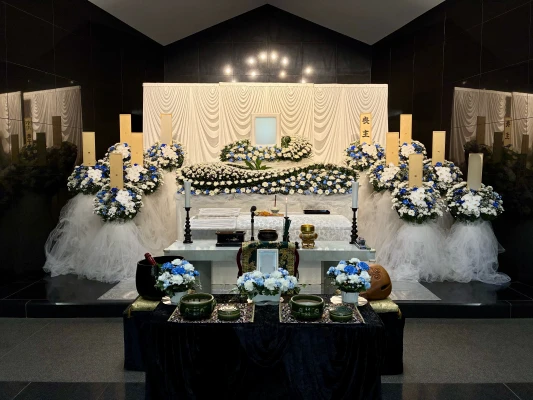 セレモハイネス