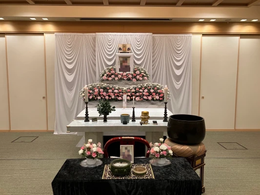 セレモハイネス