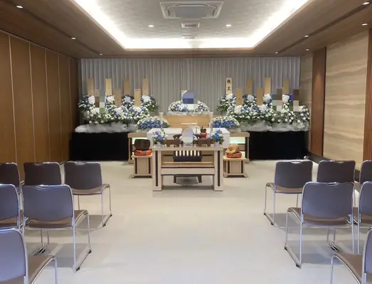 セレモハイネス