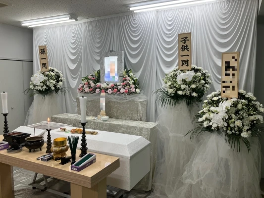 セレモハイネス