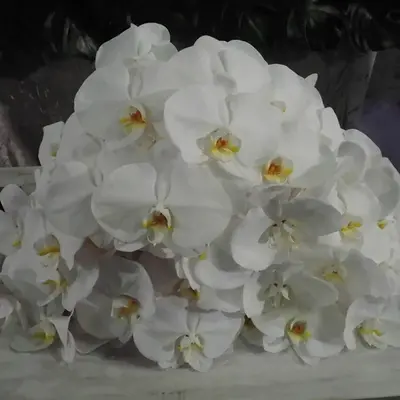 まちの葬儀やさんで葬儀を行なった写真