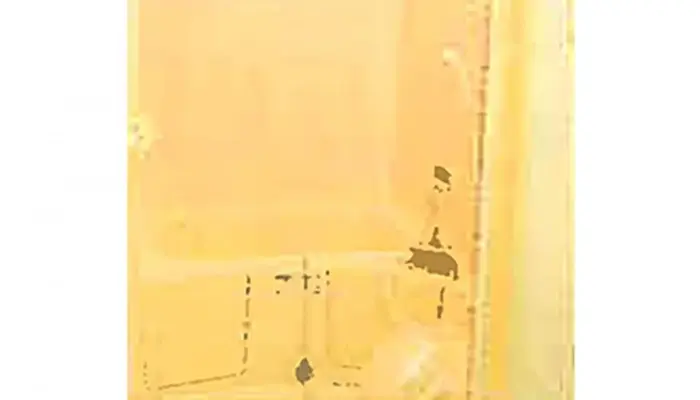 秋桜（ホール八日市）で葬儀を行なった写真