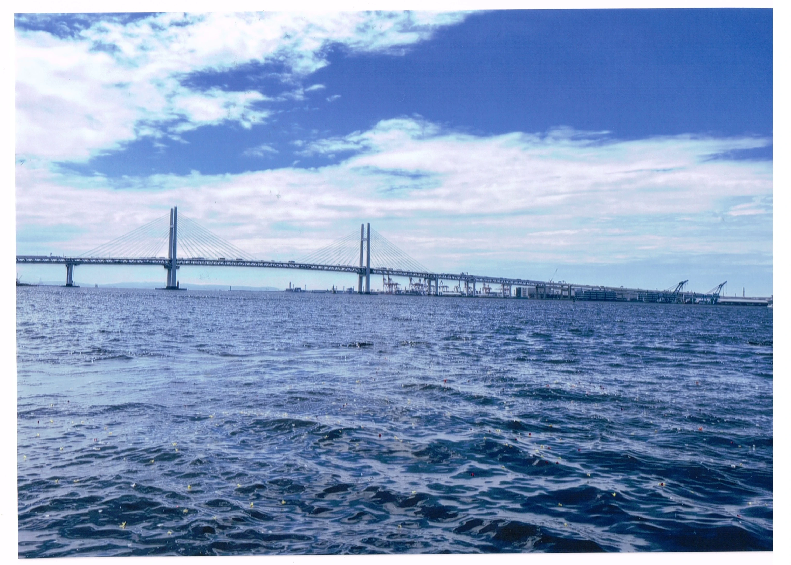 株式会社　一心葬　蕾会館