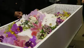 家族の火葬儀プラン